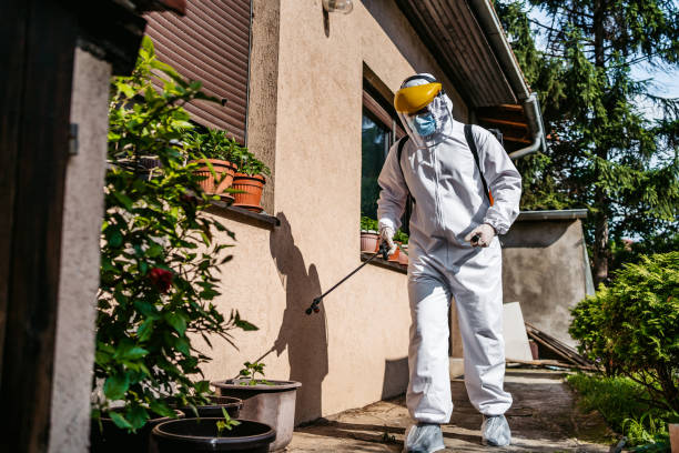 Best Mosquito Control Services  in Mercedes, TX