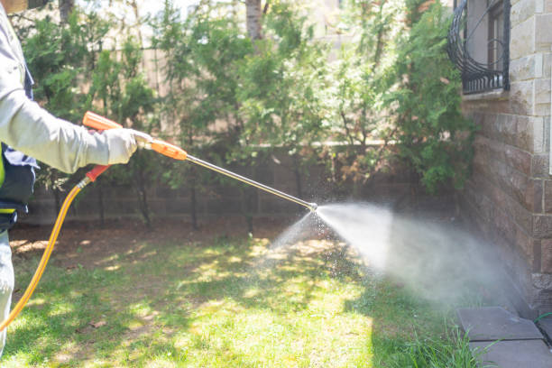 Pest Control for Restaurants in Mercedes, TX