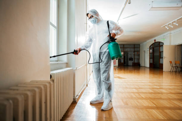 Best Wasp Removal Services  in Mercedes, TX