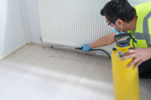 Best Pest Control Cost  in Mercedes, TX