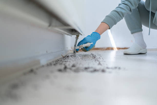 Best Best Pest Control Companies  in Mercedes, TX