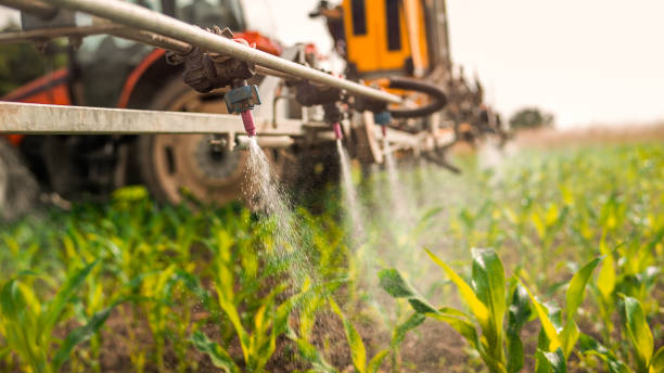 Best Wildlife Control Services  in Mercedes, TX